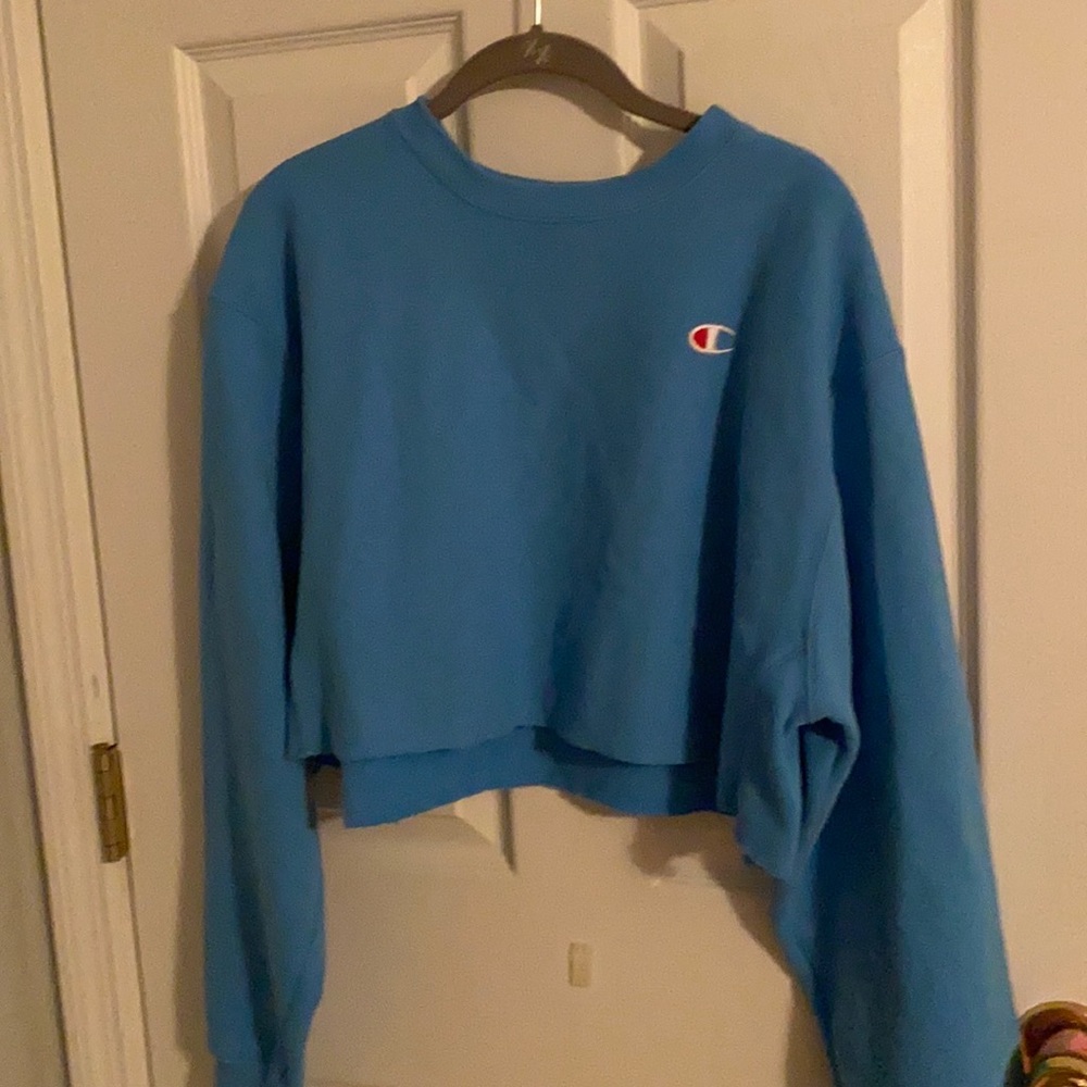 Champion Cropped Hoodie Blue (Size Medium)